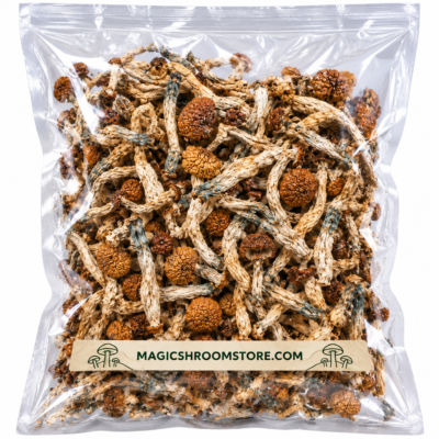 dried magic shrooms