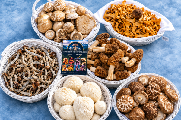 dried mushrooms
